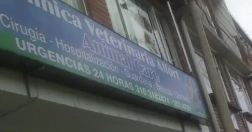 CLINICA VETERINARIA ALFORT CLINICA VETERINARIA ALFORT